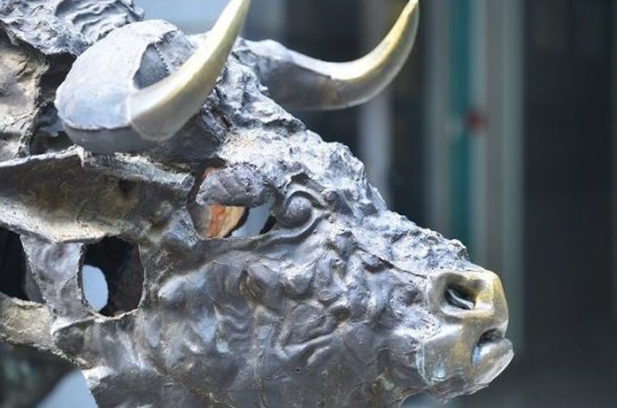 Ръст на индивидуалните инвеститори на БФБ през последните години