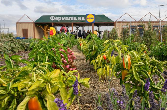 „Фeрмата на Lidl” – образователна градина от ново поколение