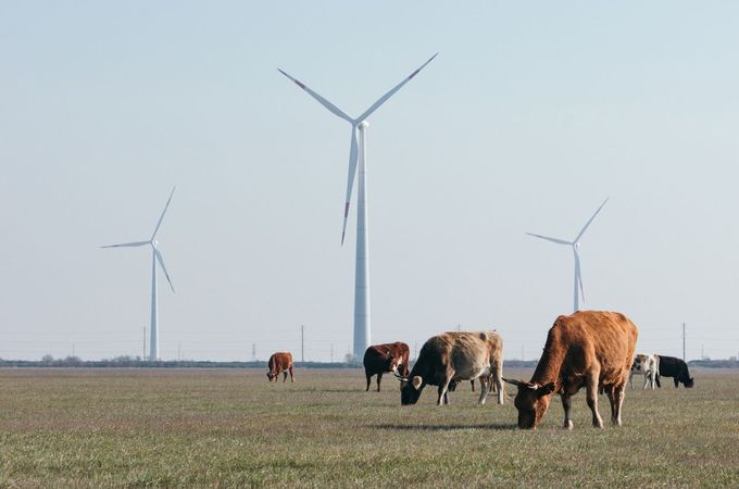Вятърният парк на „Росатом“ в Република Дагестан започна да доставя електроенергия в мрежата