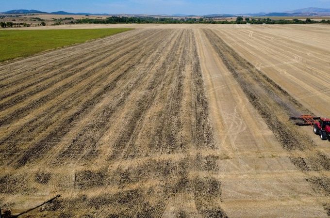 Спад от 15% в аграрния износ свива търговското салдо на България