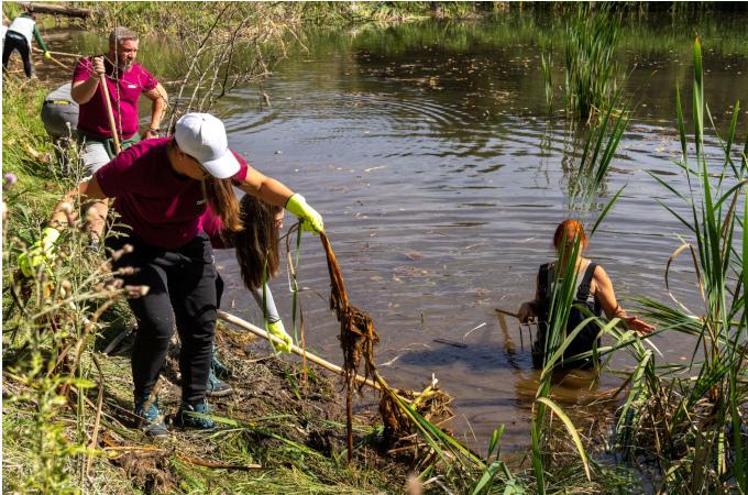 Успех за DEVIN и БФБ: рядка орхидея е знак за възстановяването на торфищата в Чаирските езера