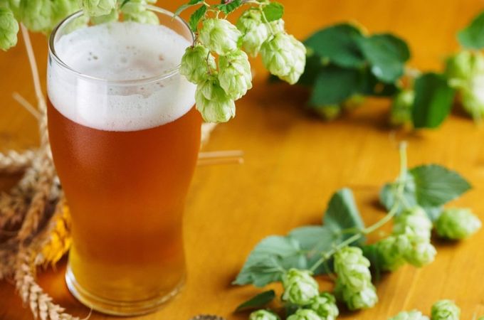 Рекорден инвестиционен бум в пивоварния бранш: 45 млн. евро за модернизация и малц