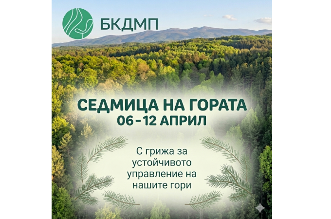 Отбелязваме Седмицата на гората за 101-ви път с увеличени територии и запас