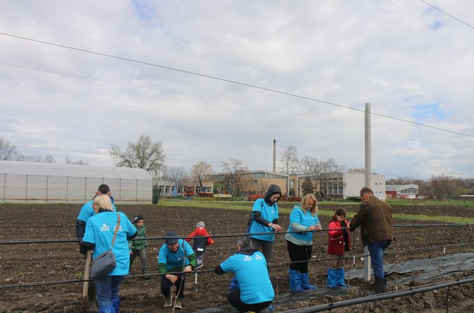 В „Синята гора“ на ОББ вече има и плодни дръвчета