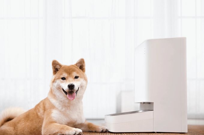 Технологии за щастливи любимци - изкуството да се грижим дори от разстояние