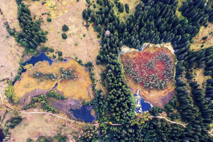 DEVIN и фондация „Биоразнообразие“ създадоха първия в България наръчник за възстановяване и опазване на торфища