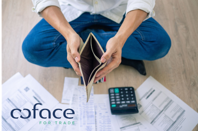 Несъстоятелността на компаниите в Централна и Източна Европа: стабилност на повърхността и нестабилност в дълбочина