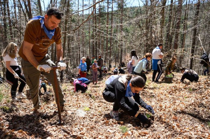 „Синята гора“ на ОББ расте вече и в Плана планина