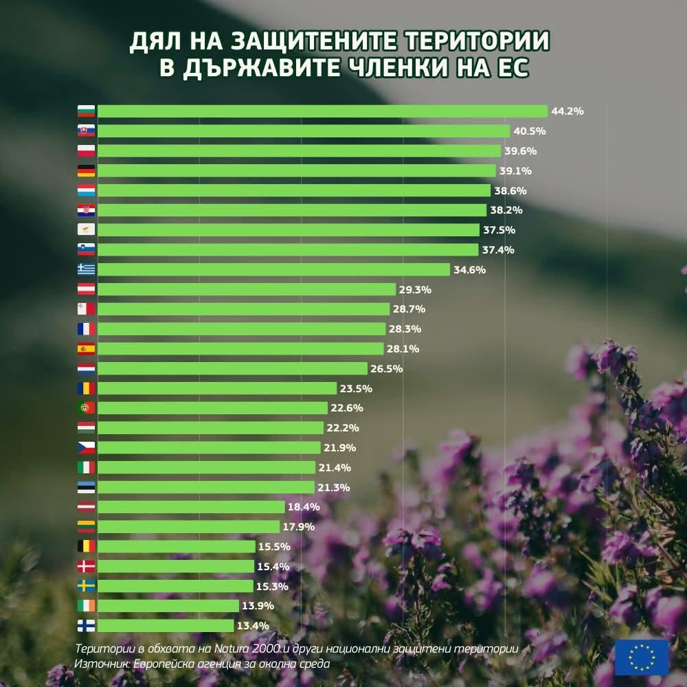 Запасът на горите у нас се е увеличил с 4,5% за последните 5 г. През 2025 г. добивът е рекордно нисък, използваният прираст е едва 41%