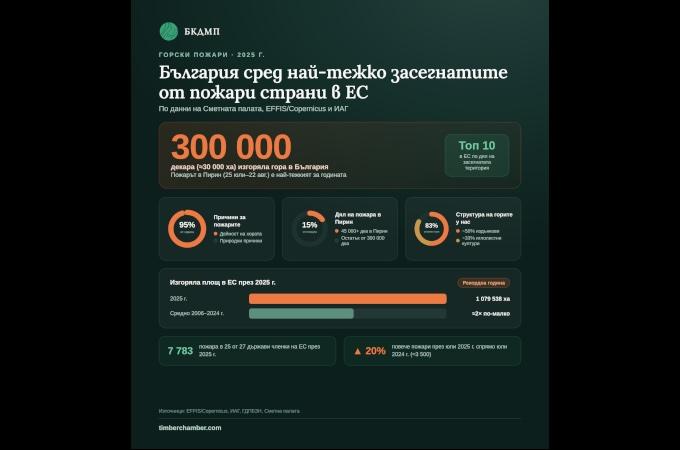 Близо 300 000 изгорели декара за година: България сред най-тежко засегнатите от пожари страни в ЕС