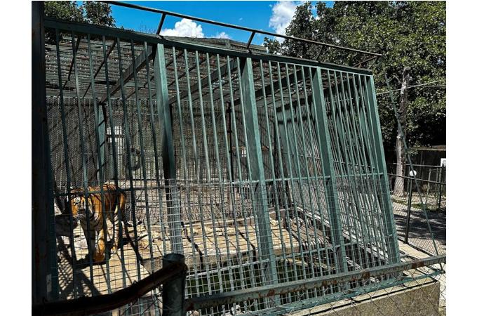 Неприемливи условия на живот в Зоокът „Кенана“, Хасково, регистрират от НПО Animals Angels