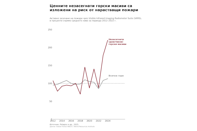 Забравените уроци от миналото: от порои до горски пожари