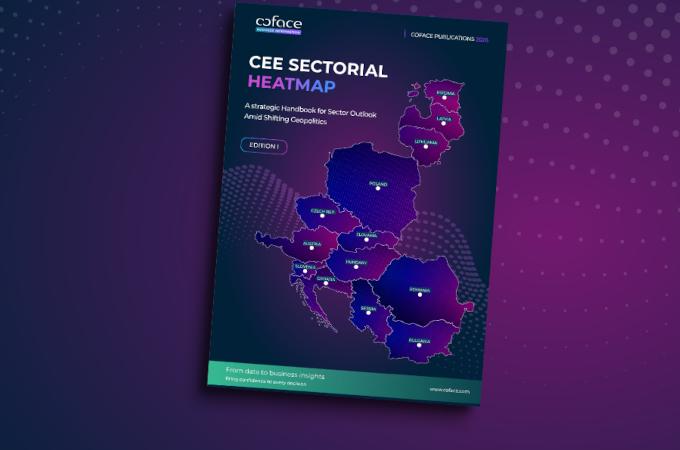 Кофас: Секторните различия в ЦИЕ са по-важни от държавните границиКофас: Секторните различия в ЦИЕ са по-важни от държавните граници